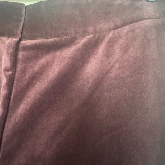 KOBI HALPERIN Gorgeous Velvet Pant - Picture 5 of 7